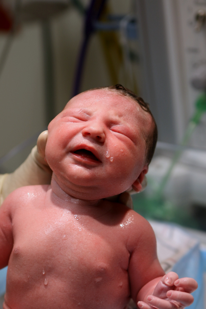 A freshly bathed newborn